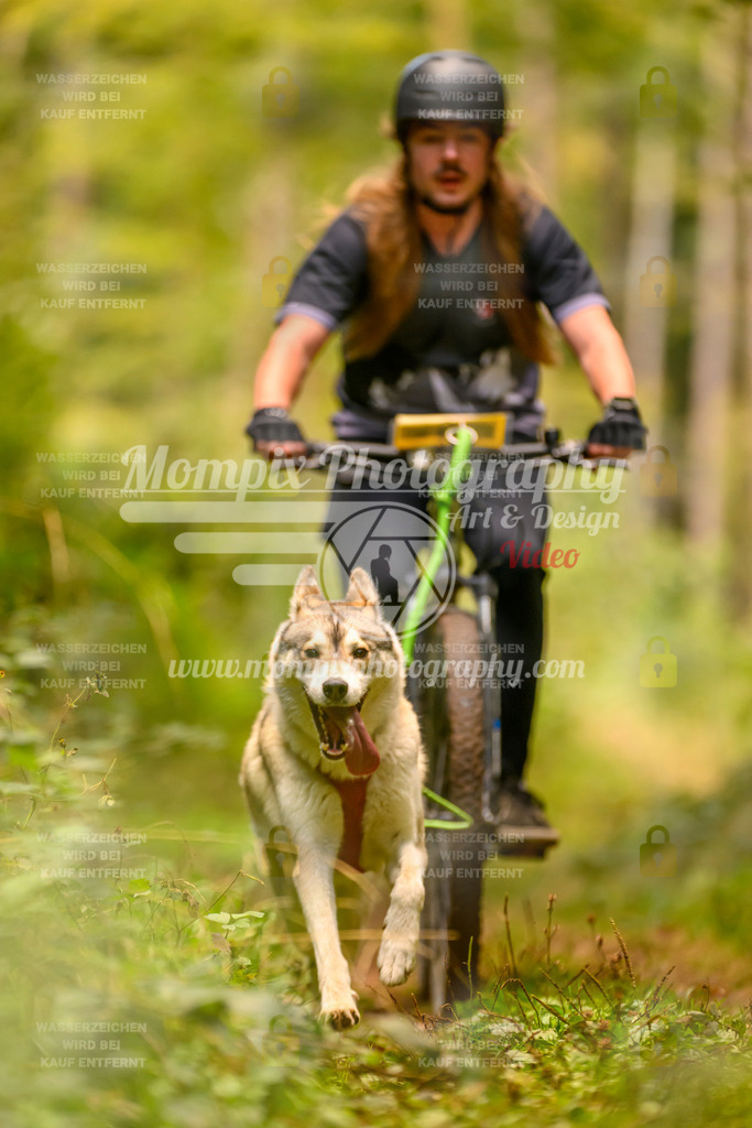 MompixPhotography_Yens2025_B2-119 | PayLife
