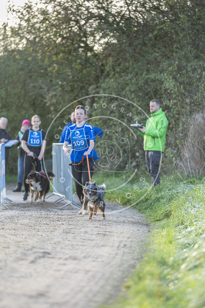 Pfotenfotografie.de_DV3A2516 | Hundefotografie, Tierfotograf, Pfotenfotografie, Fotoshooting Hund, Hunde Portrait, Hundesport, Hundeportraits, Heideshooting, Hunde, Sportfotograf, Hundefotograf, Turnierhundsport, THS, canicross - Realisiert mit Pictrs.com