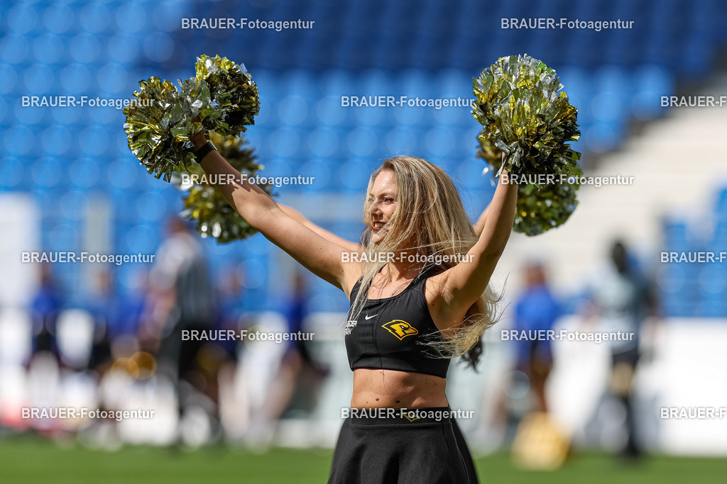 097_Ravens_20230827_0548 | BRAUER-Fotoagentur