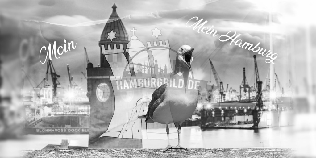 Hamburg collage 11.0 | Exklusive Hamburg collagen, tolle Segelbilder und viele weitere tolle Motive auf Leinwand, Poster, Alu-Dibond, u.v.m. findet Ihr bei uns auf hamburgbild.de. Findet Euer Wandbild für Euer Zuhause, Büro oder die  Praxis…. - Realisiert mit Pictrs.com