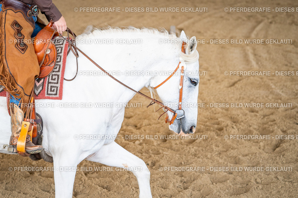 DSC02701 | Pferdegrafie