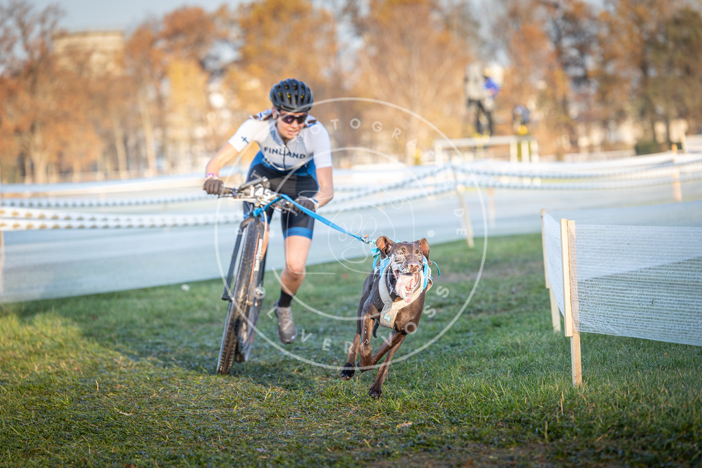 CaniXpix_0L8A3262 | Hundefotografie, Tierfotograf, Pfotenfotografie, Fotoshooting Hund, Hunde Portrait, Hundesport, Hundeportraits, Heideshooting, Hunde, Sportfotograf, Hundefotograf, Turnierhundsport, THS,  - Realisiert mit Pictrs.com