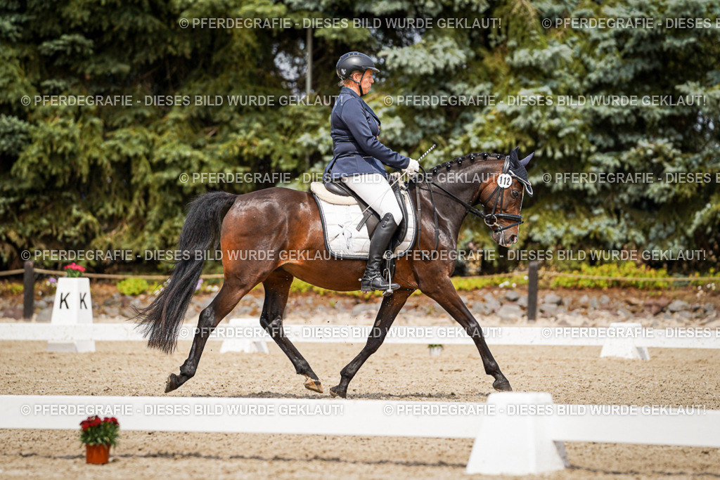 DSC04299 | Pferdegrafie