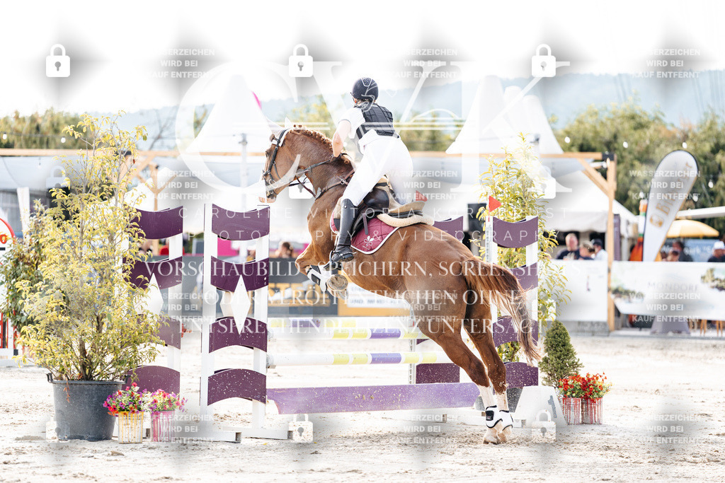 CK906671 | Turnierfotografie Pferdefotografie Trier Rheinland-Pfalz Pferdesport Reitsport Tierfotografie Sportfotografie Pferdevideo Pferdevideografie Equestrianvideography equestrianphotography  - Realisiert mit Pictrs.com