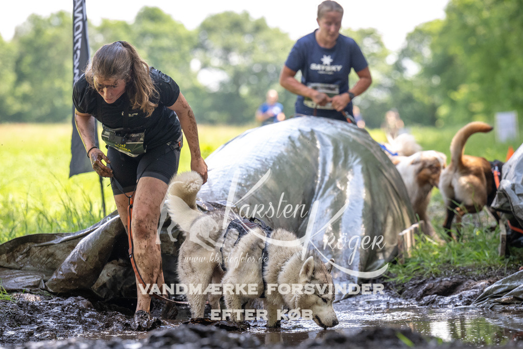 1157_ZZ90422 | kk-dogfotos