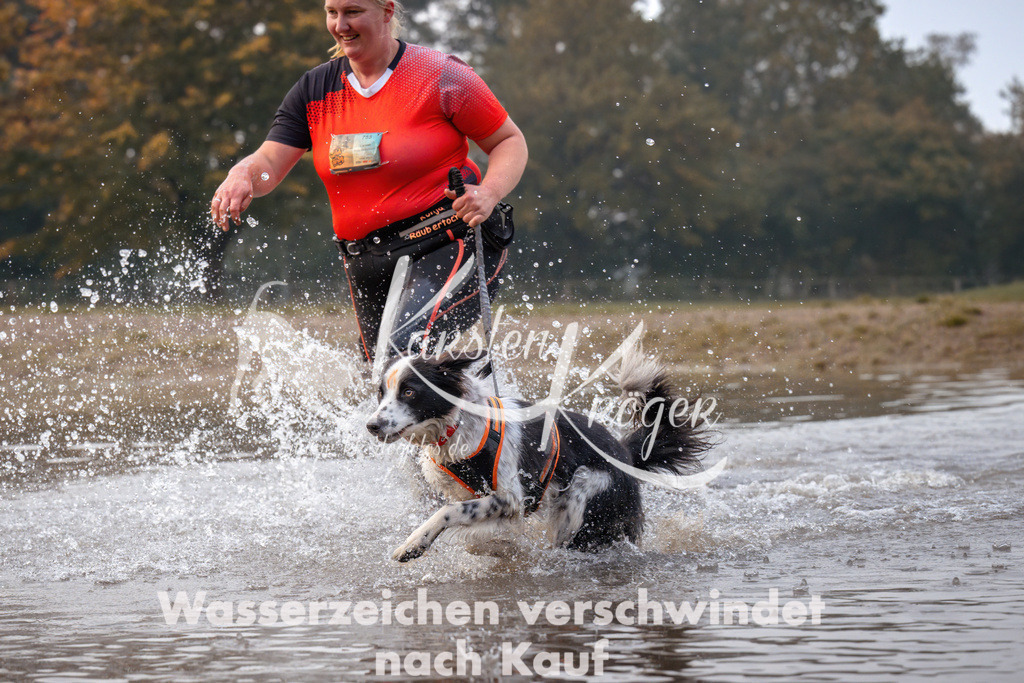 0824_ZZ91345 | kk-dogfotos