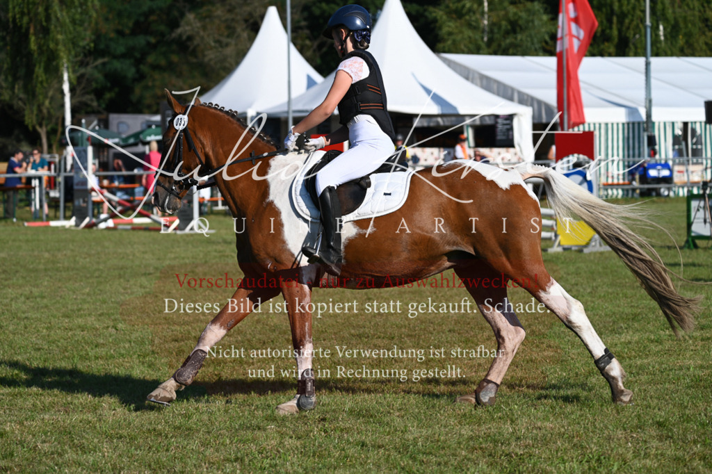 DSC_4894 | Pferde- und Turnierfotografie in Westsachsen. Pferdeportraits, Auftragszeichnungen und intuitive Kunst.