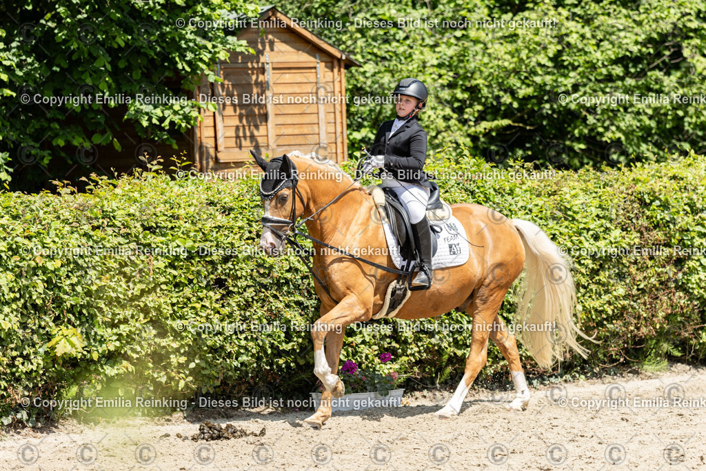 CL5A9479 | Emilia Reinking Fotografie - Realisiert mit Pictrs.com