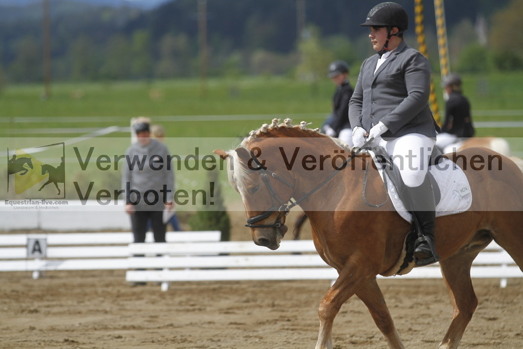 _MG_2810 | equestrian-live-com