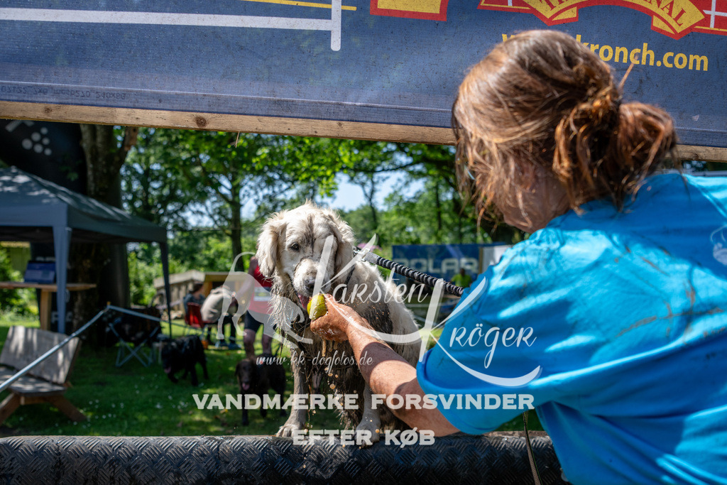 1243_ZZ91861 | kk-dogfotos