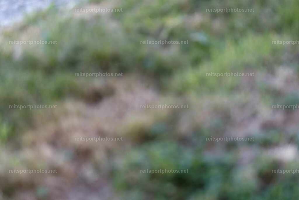JoYa1_02526 | JoYa Fotografie - Realisiert mit Pictrs.com