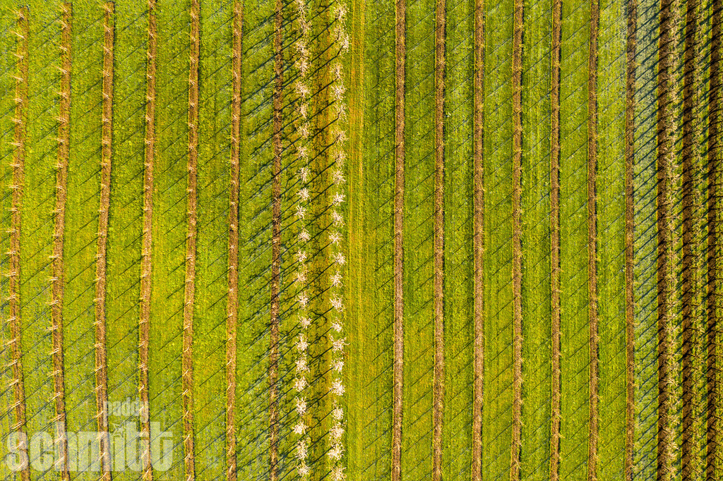 PS-Aerials-2026-67 | Entdecke die größte Bildgalerie der Region mit Fotografien aus dem Allgäu, der Bodenseeregion, Oberschwaben, dem Donautal und der Schwäbischen Alb. Landschaften, Luftaufnahmen und Reisefotografie als Wandbild und Fotokunst. - Realisiert mit Pictrs.com
