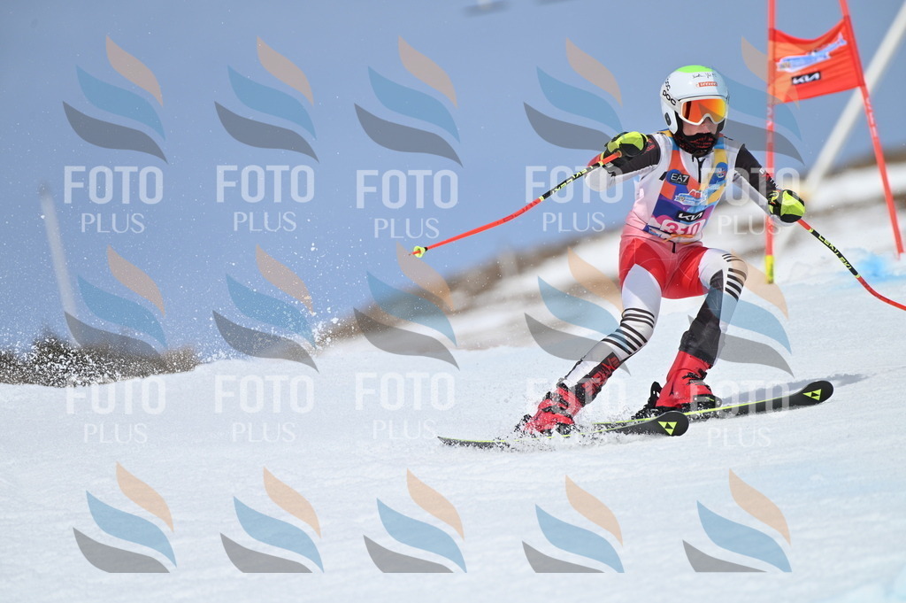 BGV_2943 | holidayphoto