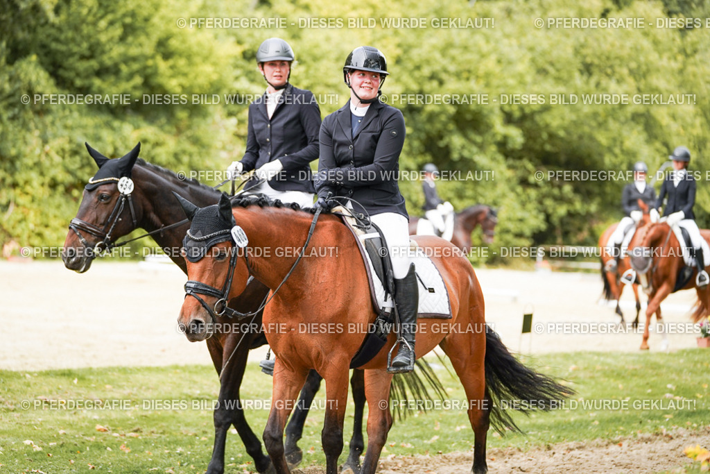 DSC01820 | Pferdegrafie