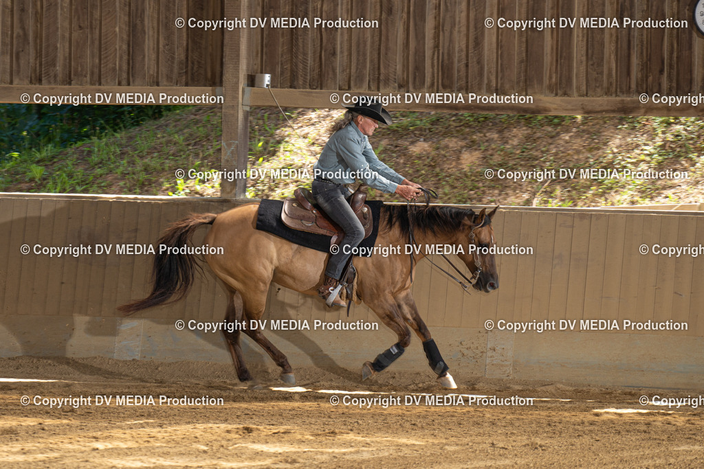 DSC00228 | dv-media-shop - Realisiert mit Pictrs.com