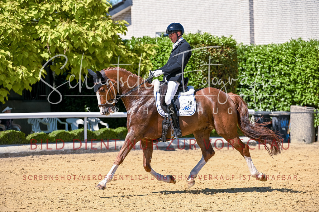 Schugtsche-Aluta25-50.Dressurpferdeprf.L-2 | Schugtsche Fotografie - Realisiert mit Pictrs.com