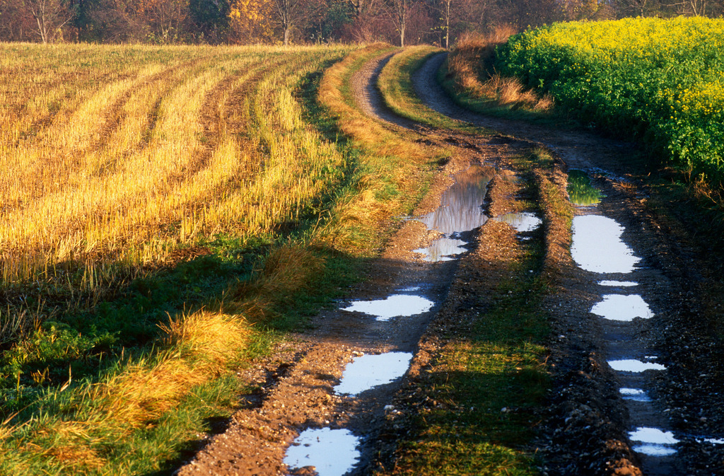 Feldweg mit Wasserlacken | Austria - November 18, 2009: Feldweg mit Wasserlacken. - Realisiert mit Pictrs.com