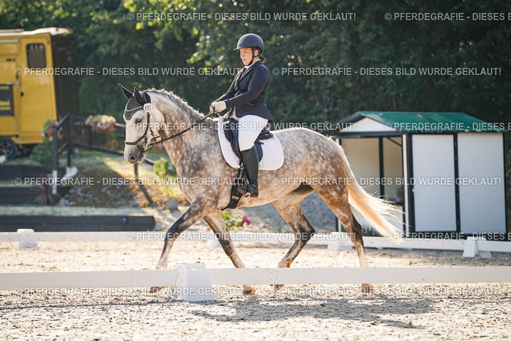 DSC08470 | Pferdegrafie