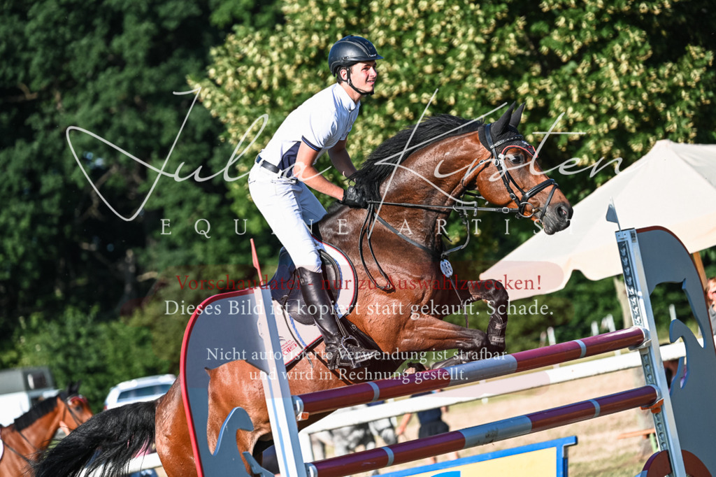 DSC_3073 | Pferde- und Turnierfotografie in Westsachsen. Pferdeportraits, Auftragszeichnungen und intuitive Kunst.