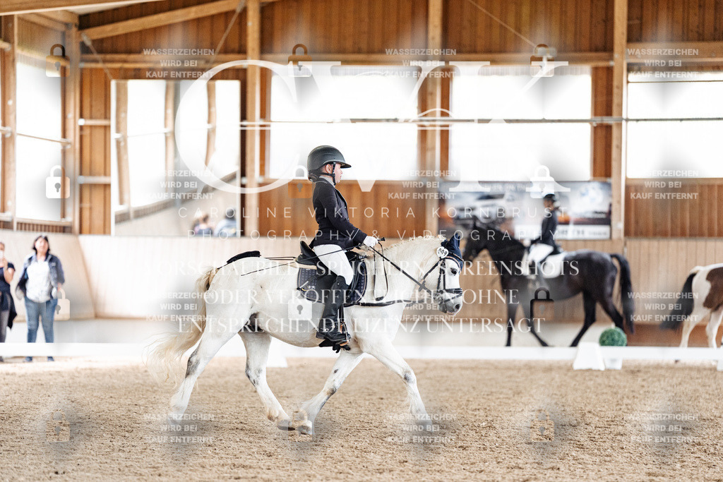CK900986 | Turnierfotografie Pferdefotografie Trier Rheinland-Pfalz Pferdesport Reitsport Tierfotografie Sportfotografie Pferdevideo Pferdevideografie Equestrianvideography equestrianphotography  - Realisiert mit Pictrs.com