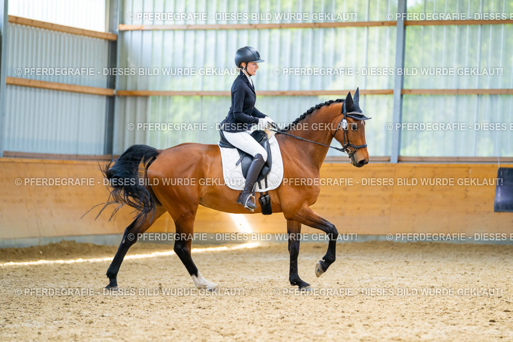 DSC09235 | Pferdegrafie