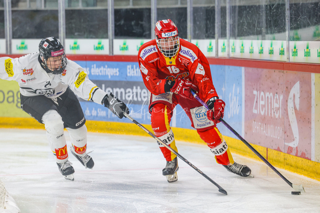 701A3141 | Sportbilder, Sportfotograf, Hochzeits- und Eventfotografin, Flugshows, Portraits und Tiershooting, Aviation, Downhill, Nationalleague, Swissleague, International