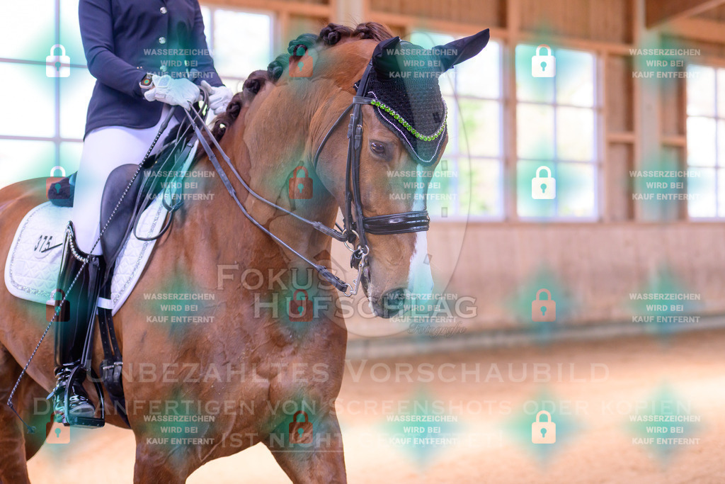 11042026-Mammendorf-Prfg28-2-0050 | Fokus Hufschlag Fotografie - Realisiert mit Pictrs.com