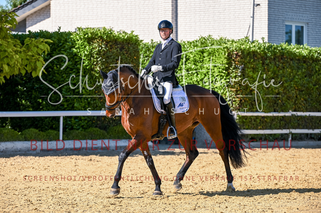 Schugtsche-Aluta25-50.Dressurpferdeprf.L-254 | Schugtsche Fotografie - Realisiert mit Pictrs.com