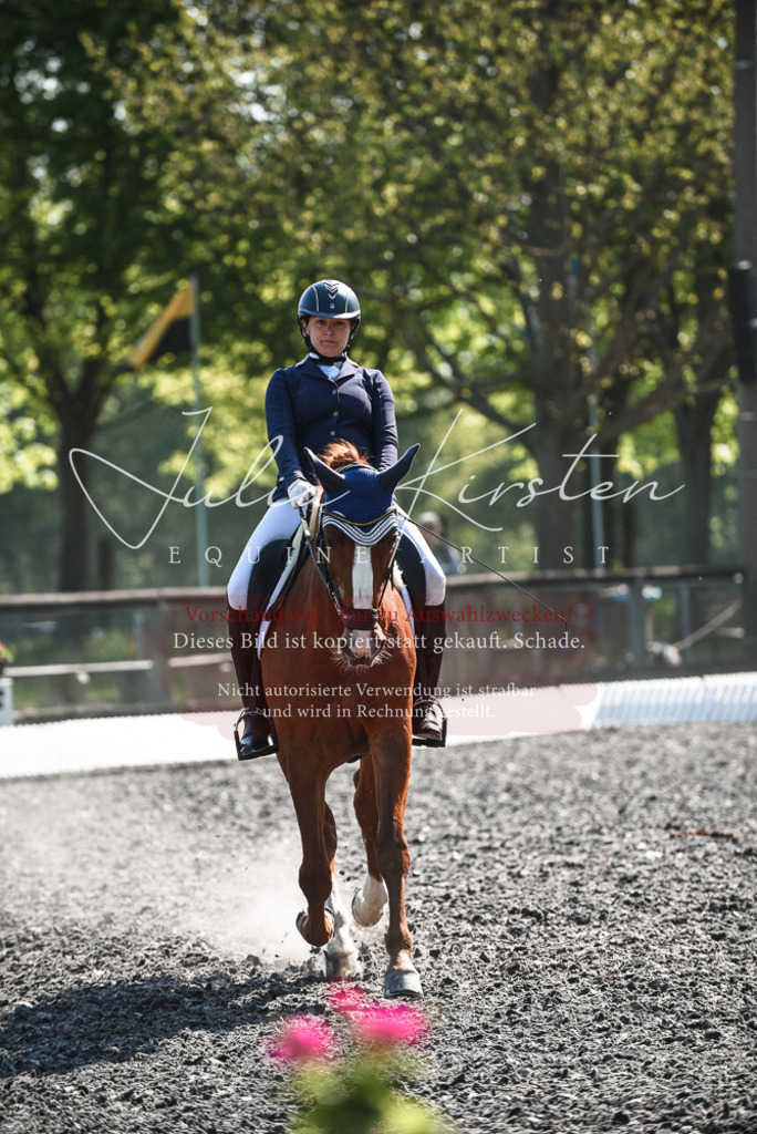 DSC_8842 | Pferde- und Turnierfotografie in Westsachsen. Pferdeportraits, Auftragszeichnungen und intuitive Kunst.