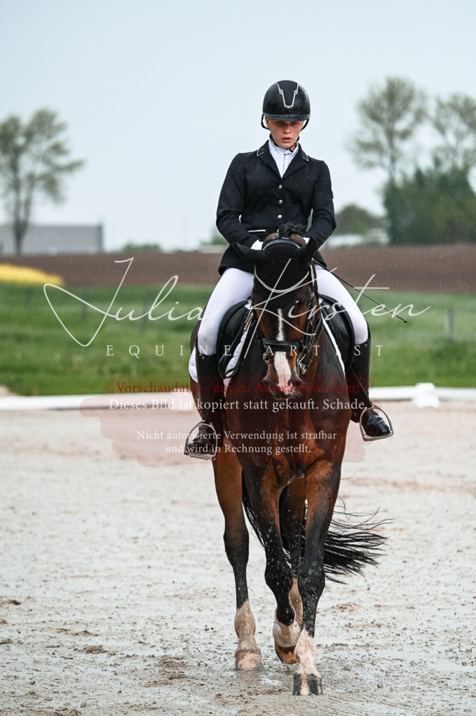 DSC_4137 | Pferde- und Turnierfotografie in Westsachsen. Pferdeportraits, Auftragszeichnungen und intuitive Kunst.