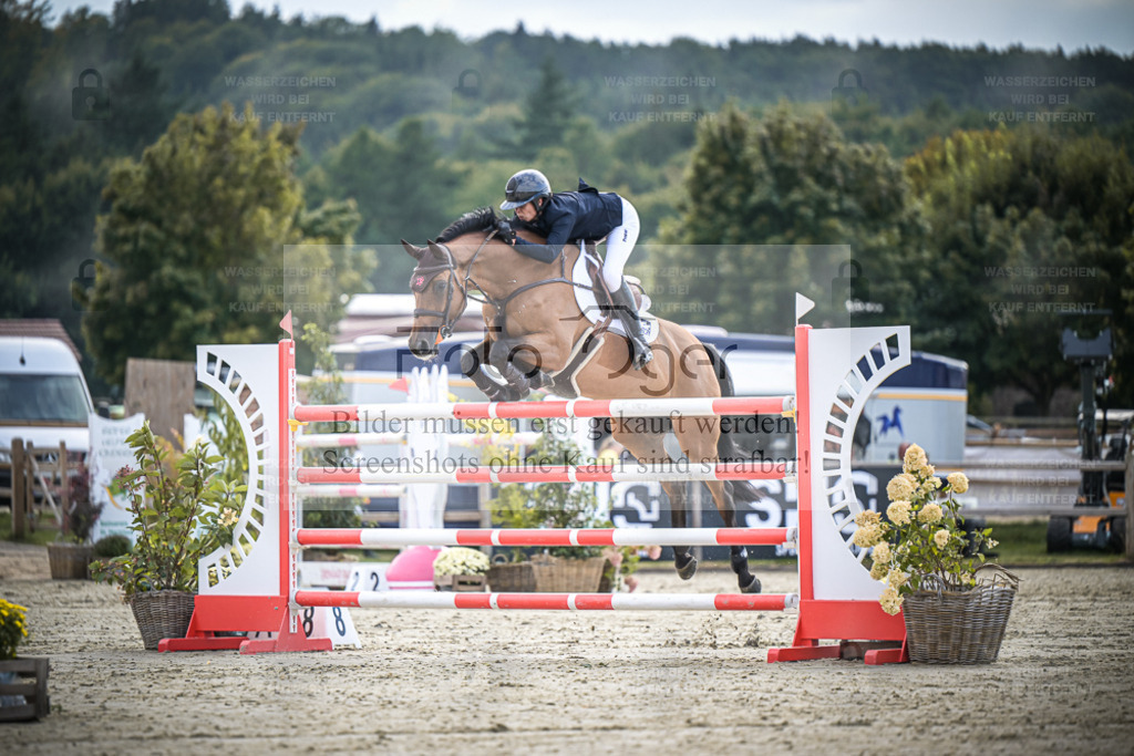 DOS_0204 | Entdecke hochwertige Reitturnierfotos von Foto Oger. Professionell, emotional und authentisch – jetzt Lieblingsmomente im Shop bestellen. - Realisiert mit Pictrs.com