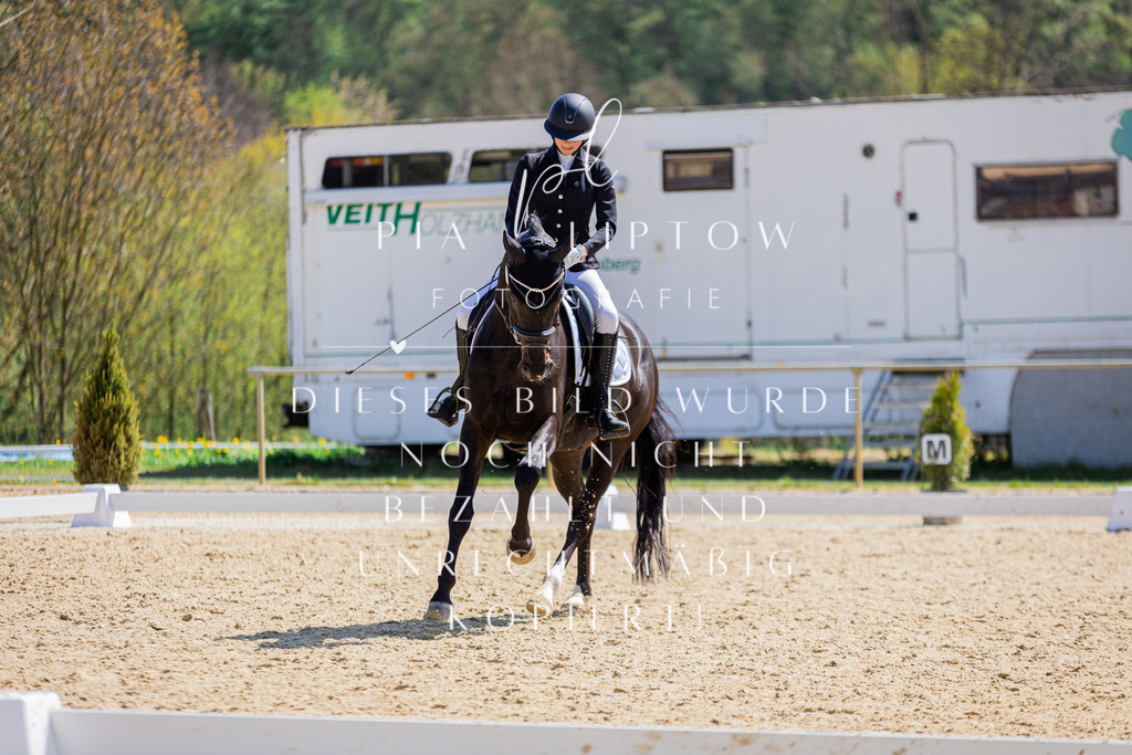 IMGT2108 | pl-fotografie