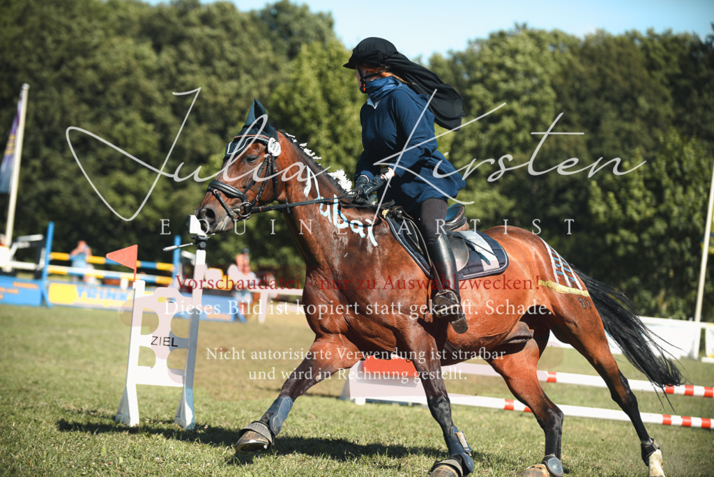 DSC_7590 | Pferde- und Turnierfotografie in Westsachsen. Pferdeportraits, Auftragszeichnungen und intuitive Kunst.