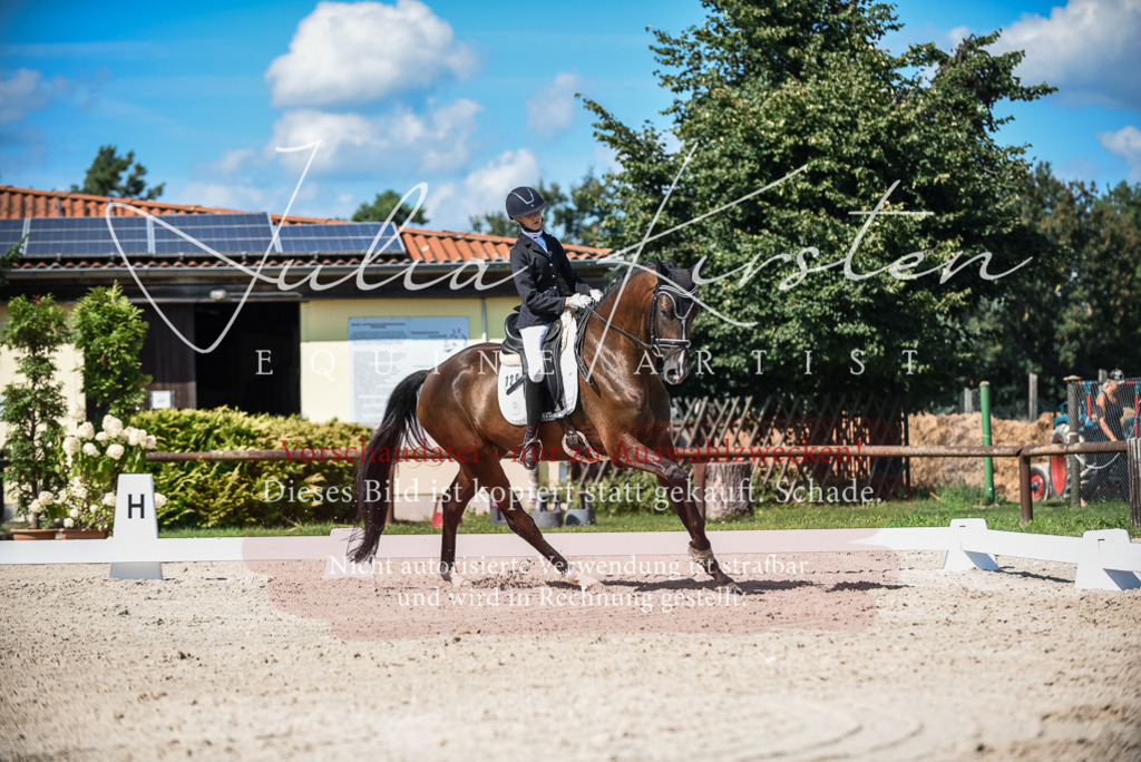 DSC_9608 | Pferde- und Turnierfotografie in Westsachsen. Pferdeportraits, Auftragszeichnungen und intuitive Kunst.