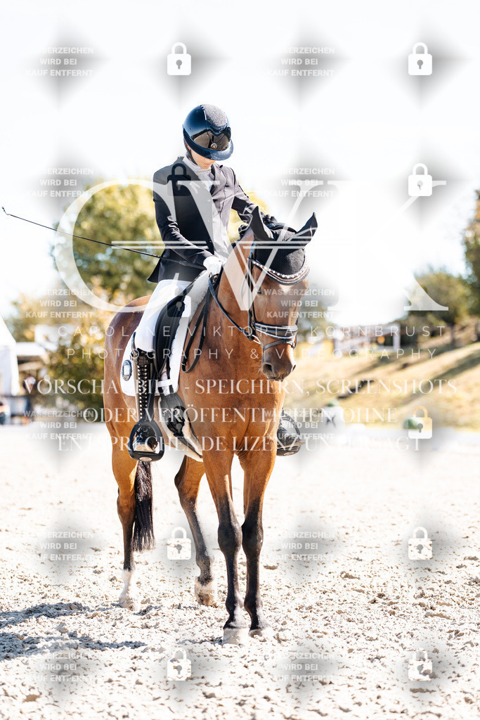 CK909288 | Turnierfotografie Pferdefotografie Trier Rheinland-Pfalz Pferdesport Reitsport Tierfotografie Sportfotografie Pferdevideo Pferdevideografie Equestrianvideography equestrianphotography  - Realisiert mit Pictrs.com