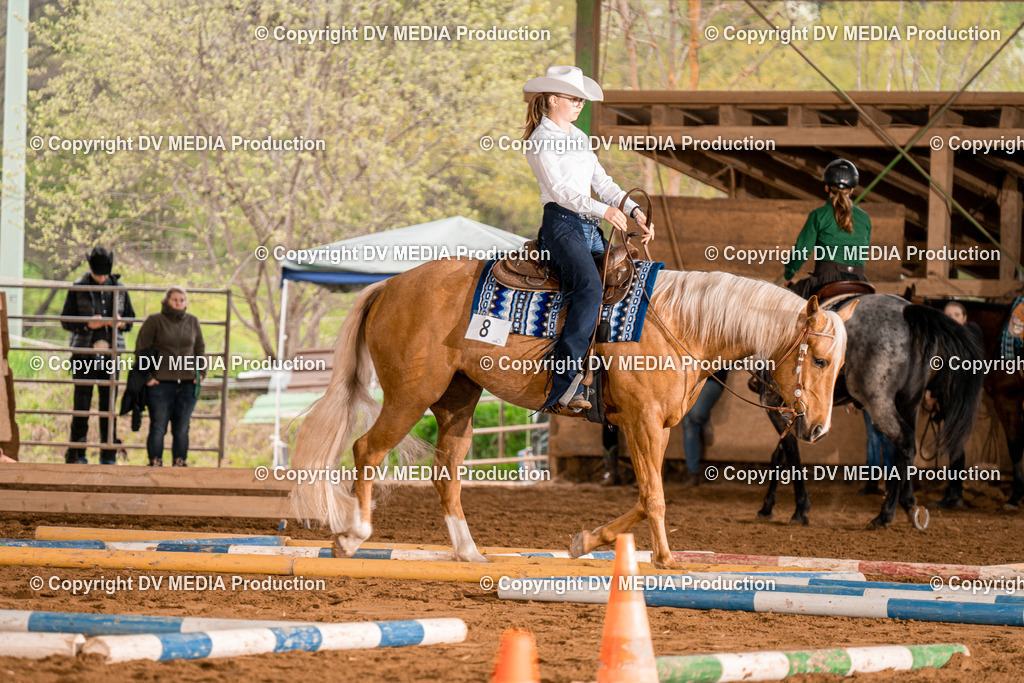 BA300284 | dv-media-shop - Realisiert mit Pictrs.com