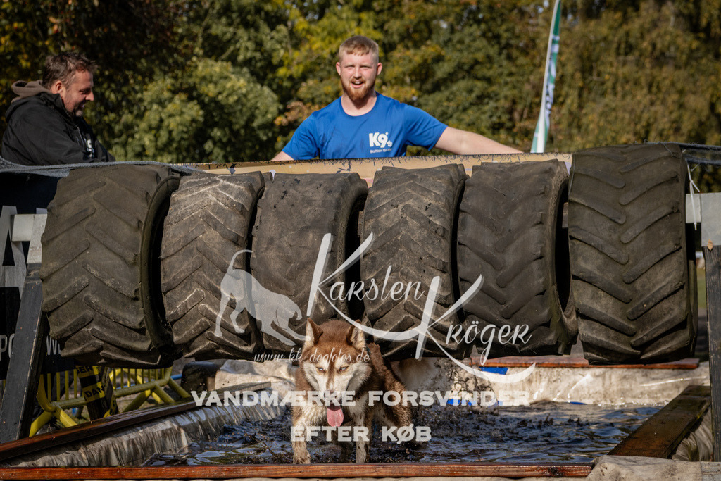 1346_ZZ92931 | kk-dogfotos