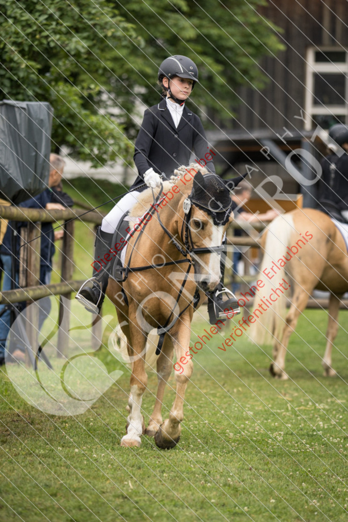 IMG_1660 | Sport-, Event- und Tierfotos in Profiqualität. Einfach auswählen, bestellen und herunterladen. Dein Moment – perfekt festgehalten.