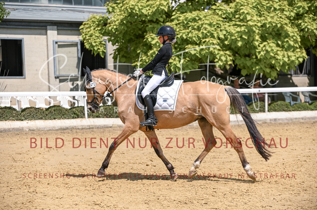 Schugtsche-Aluta25-53.Amat.Dressurprf.A2-397 | Schugtsche Fotografie - Realisiert mit Pictrs.com