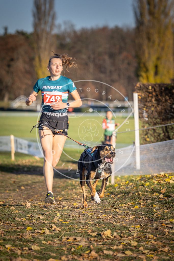 CaniXpix_DV3A2377 | Hundefotografie, Tierfotograf, Pfotenfotografie, Fotoshooting Hund, Hunde Portrait, Hundesport, Hundeportraits, Heideshooting, Hunde, Sportfotograf, Hundefotograf, Turnierhundsport, THS,  - Realisiert mit Pictrs.com