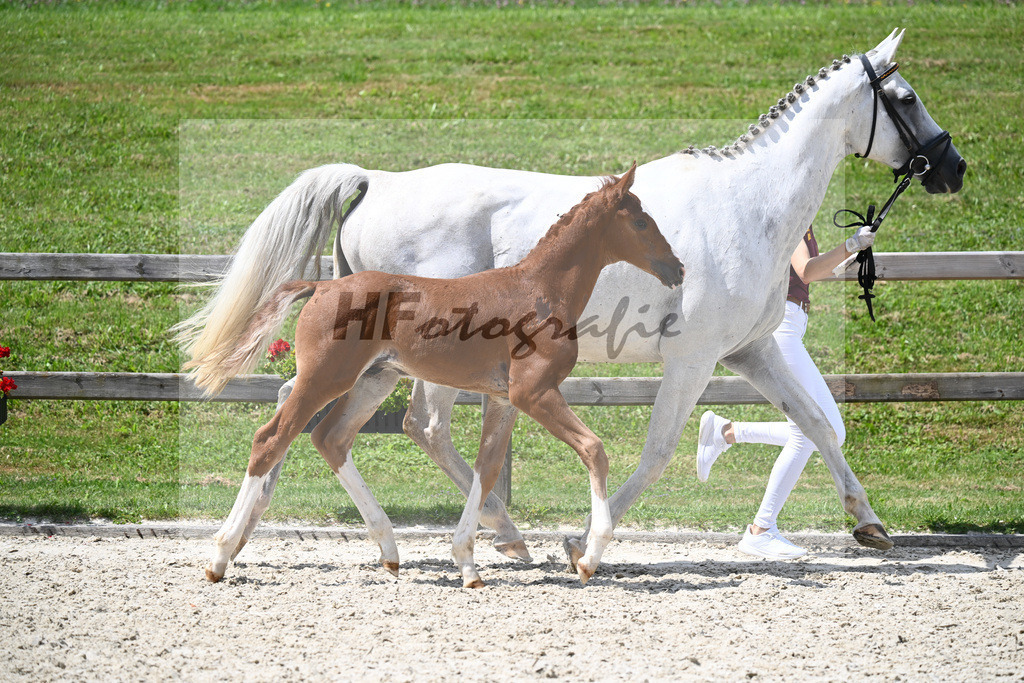 Ben Benicio x Lago d Oro_HF_Goeth_29240545 | hf-fotografie - Realisiert mit Pictrs.com
