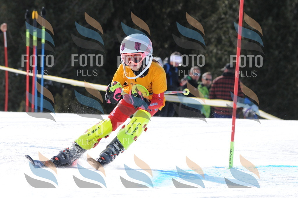 C7284 | holidayphoto