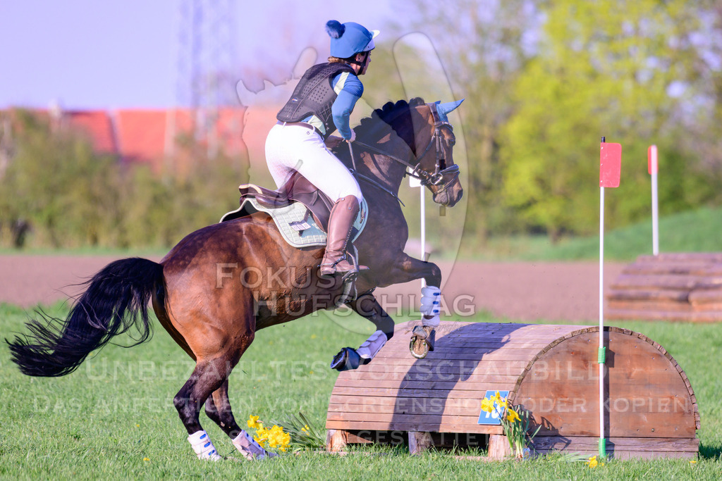 18042026-Gernlinden-04-2-0329 | Fokus Hufschlag Fotografie - Realisiert mit Pictrs.com
