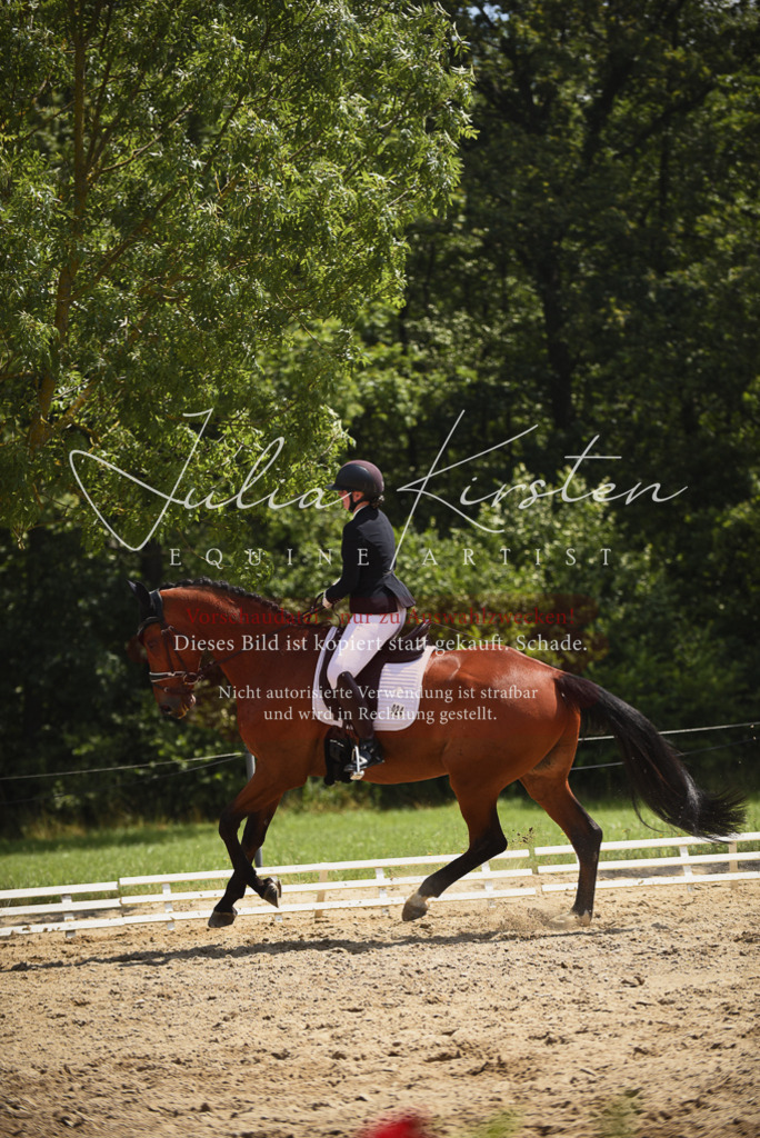 DSC_1353 | Pferde- und Turnierfotografie in Westsachsen. Pferdeportraits, Auftragszeichnungen und intuitive Kunst.