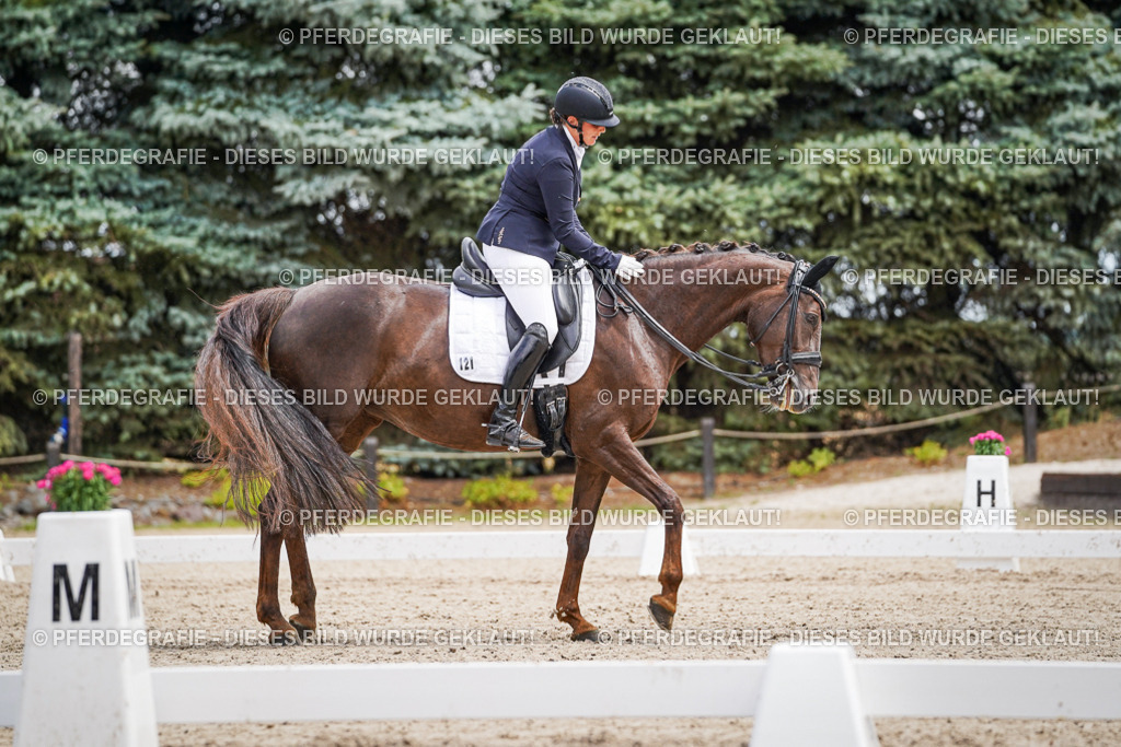 DSC04014 | Pferdegrafie