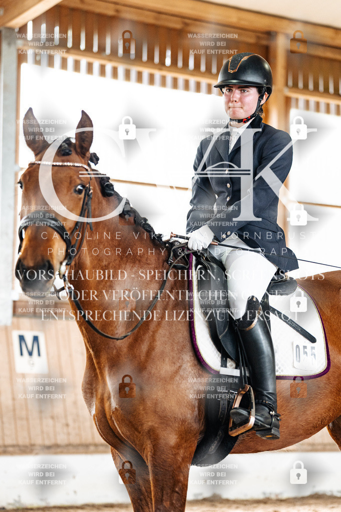 CK900450 | Turnierfotografie Pferdefotografie Trier Rheinland-Pfalz Pferdesport Reitsport Tierfotografie Sportfotografie Pferdevideo Pferdevideografie Equestrianvideography equestrianphotography  - Realisiert mit Pictrs.com
