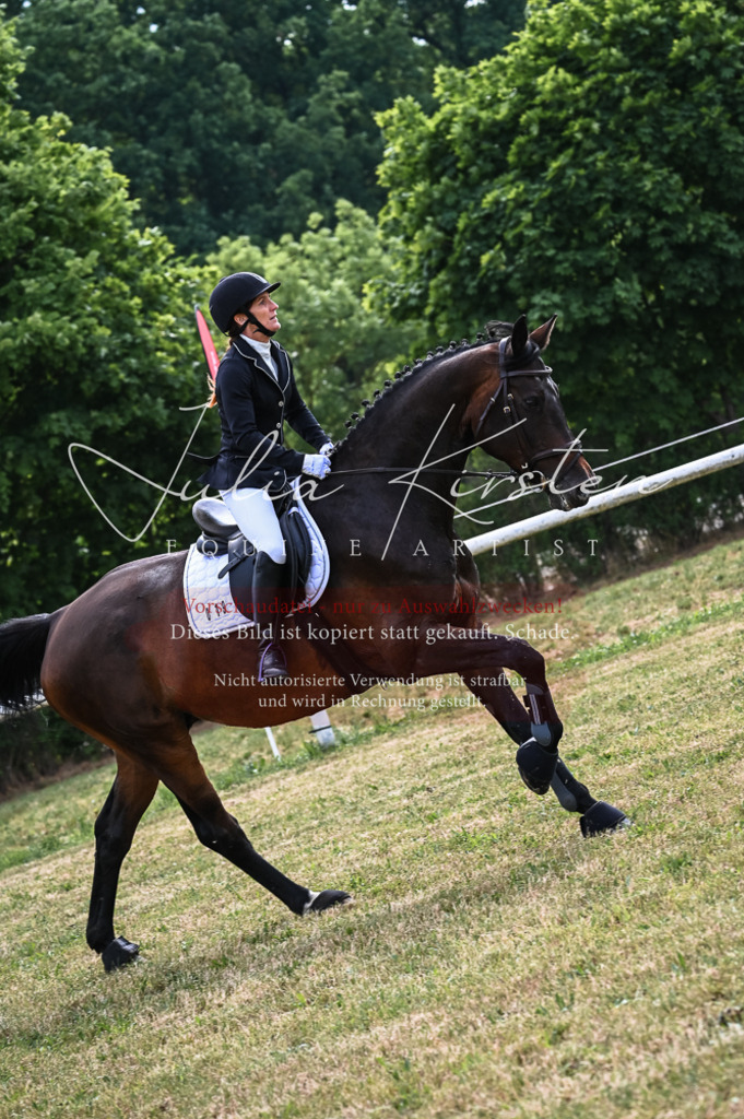 DSC_8314 | Pferde- und Turnierfotografie in Westsachsen. Pferdeportraits, Auftragszeichnungen und intuitive Kunst.
