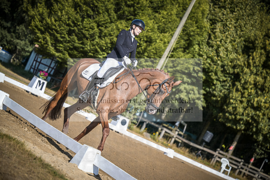 DOS_2002 | Entdecke hochwertige Reitturnierfotos von Foto Oger. Professionell, emotional und authentisch – jetzt Lieblingsmomente im Shop bestellen.Deutschlandweite Turnierfotografie. - Realisiert mit Pictrs.com