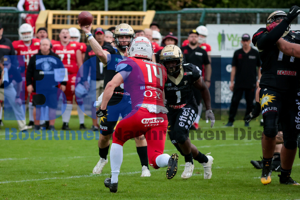 GFL: Paderborn Dolphins vs. New Yorker Lions{date} -  | {headline}(Foto: Sebastian Sendlak / BOND) - Realisiert mit Pictrs.com