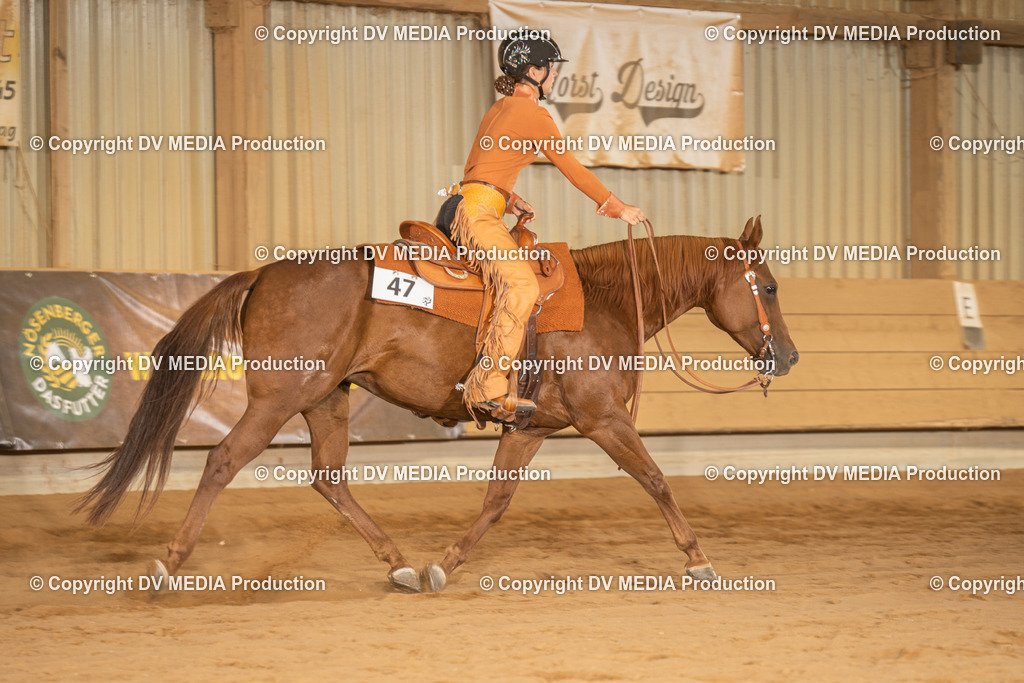 NID03728 | dv-media-shop - Realisiert mit Pictrs.com